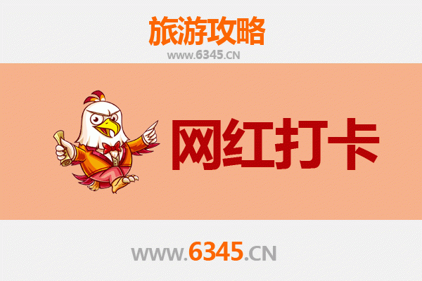 三亚国营立才农场：热带田园风光与网红打卡新地标
